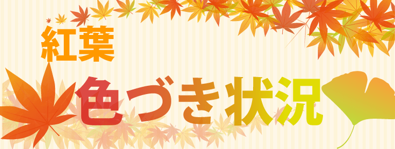 kouyou_banner_アートボード 1