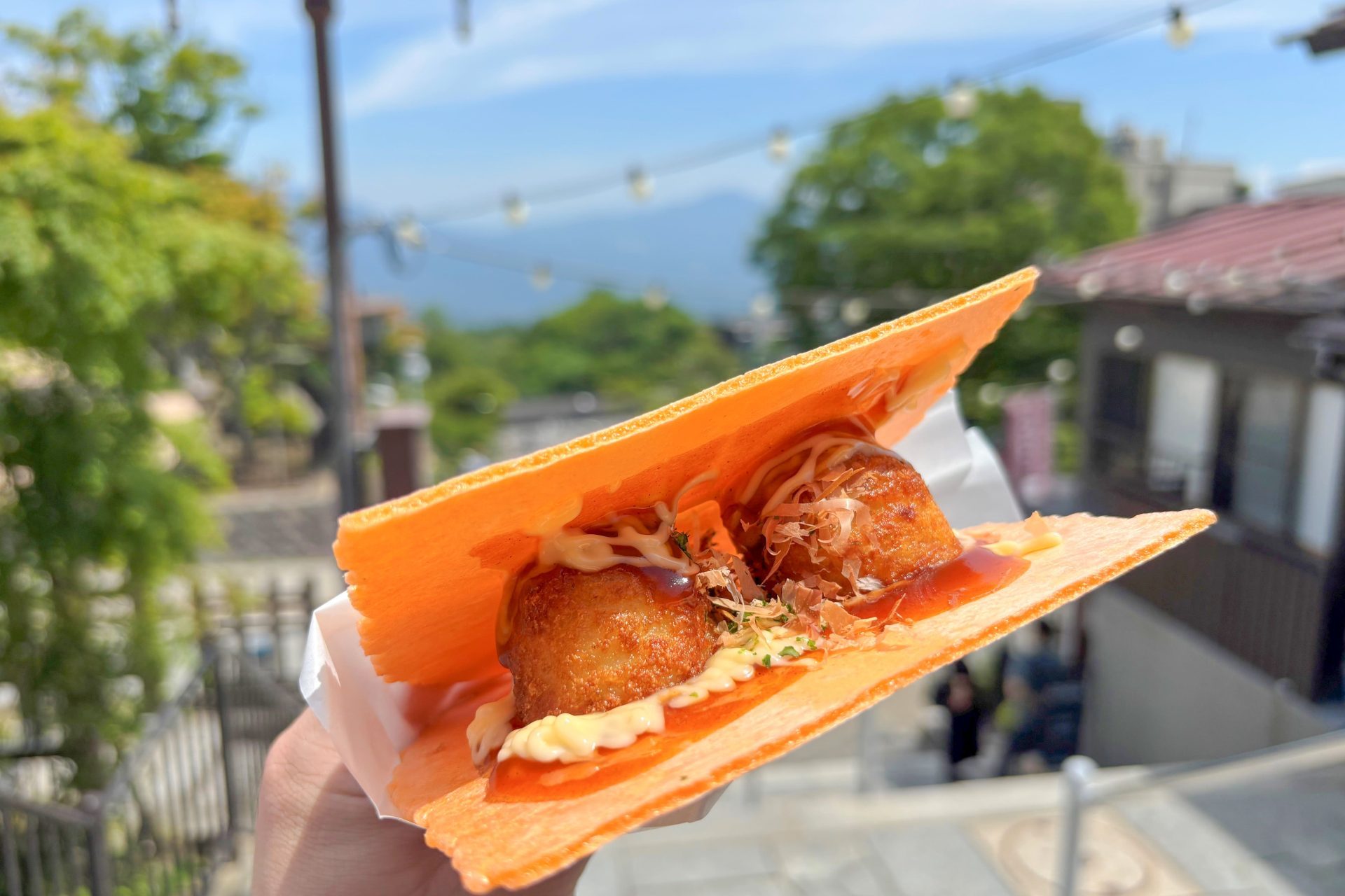 シュシュ (1) シュシュ (1)