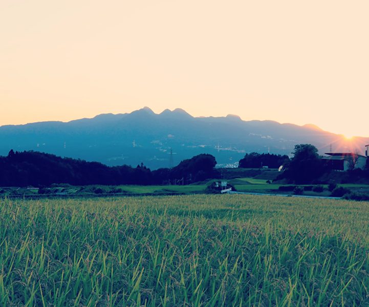 ikaphoto4_k_g