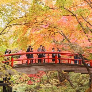 　河鹿橋