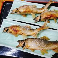 鮎_落合簗